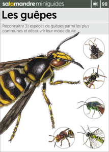 Miniguide 98  : Les guêpes