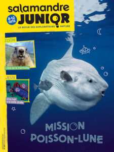 Mission poisson-lune (n°119)