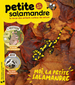 Moi, la petite salamandre (n° 44)