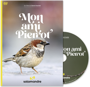 Mon ami Pierrot (DVD)