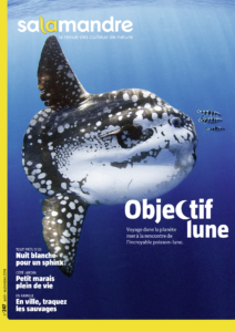 Objectif lune (n°247)