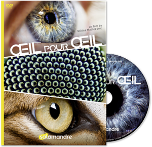Oeil pour œil (DVD)