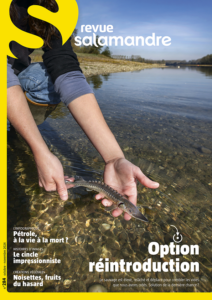 Option réintroduction (n°284)