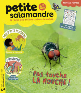 Pas touche la mouche ! (n°49)
