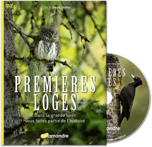 Premières loges (DVD)