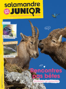 rencontres-pas-bêtes.com (n°114)