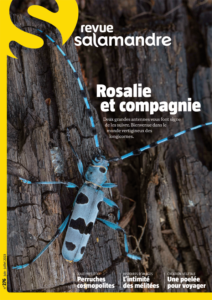 Rosalie et Compagnie (n°276)