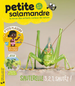 Sauterelle : 3, 2, 1 sautez ! (n° 42)