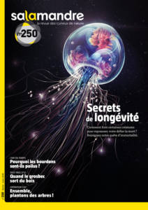 Secrets de longévité (n°250)