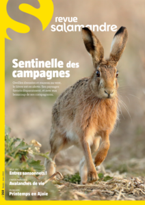 Sentinelle des campagnes (n°268)
