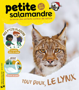 Tout doux, le lynx (n° 45)