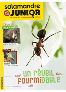 Un réveil fourmidable (n° 116)