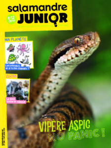 Vipère aspic, No panic ! (n°124)
