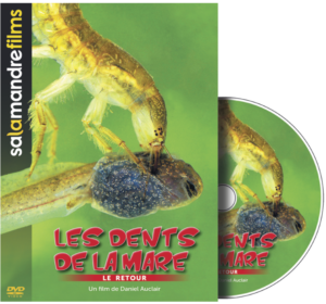 Les dents de la mare