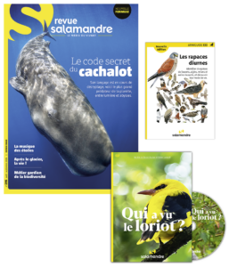 Abonnement 1 an Revue Salamandre (13-99 ans) + DVD