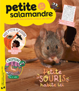 Petite souris habite ici (n°68)