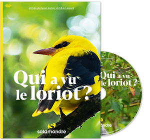 Qui a vu le loriot (DVD)