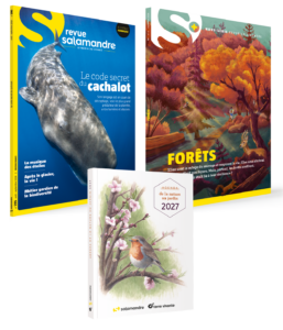 Abonnement 1 an Revue Salamandre (13-99 ans) + hors-série + l'agenda de la nature au jardin 2027