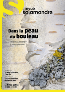 Dans la peau du bouleau (n°292)
