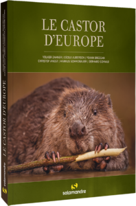 Le castor d'Europe