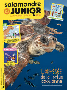 L’odyssée de la tortue caouanne (n°167)