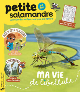 Ma vie de libellule (n°66)