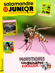 Moustiques, sensibles (n°166)