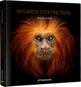 Regards d'extinction