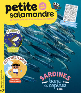 Sardines : banc de copines (n°67)