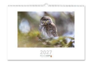 Calendrier photo 2027
