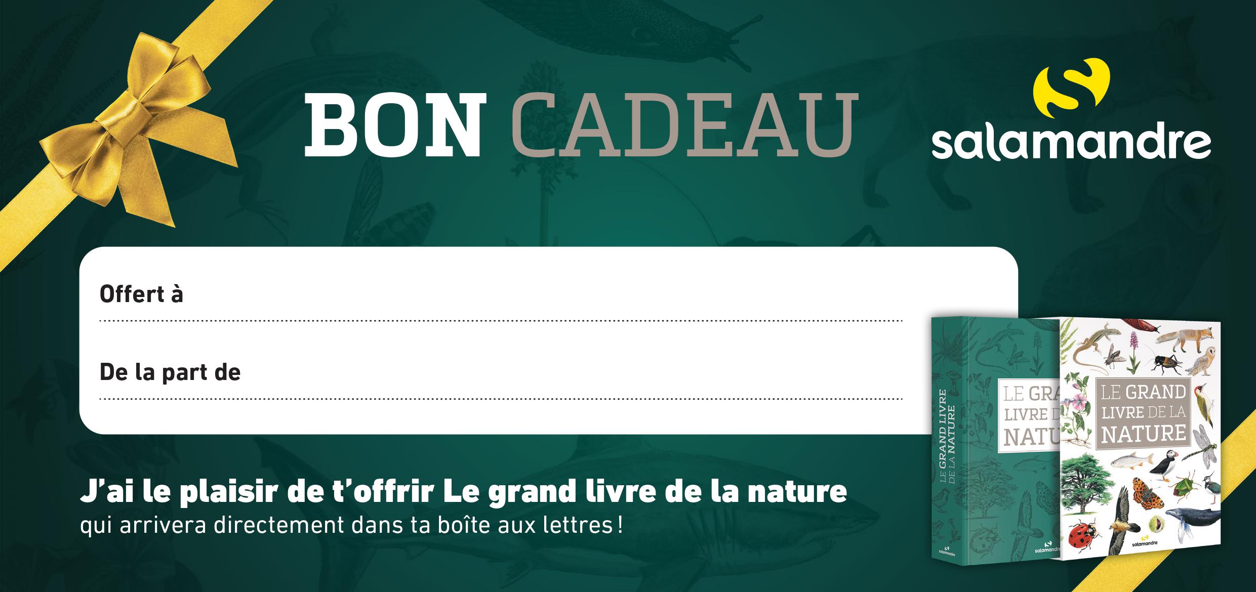 Bons cadeaux à imprimer et offrir > Boutique - Salamandre