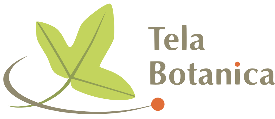 logo tela botanica