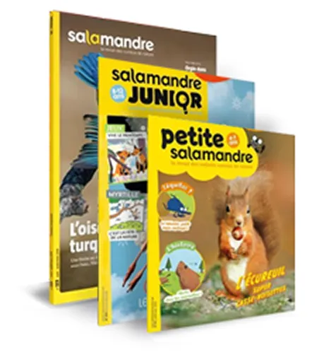 Couverture de magazines