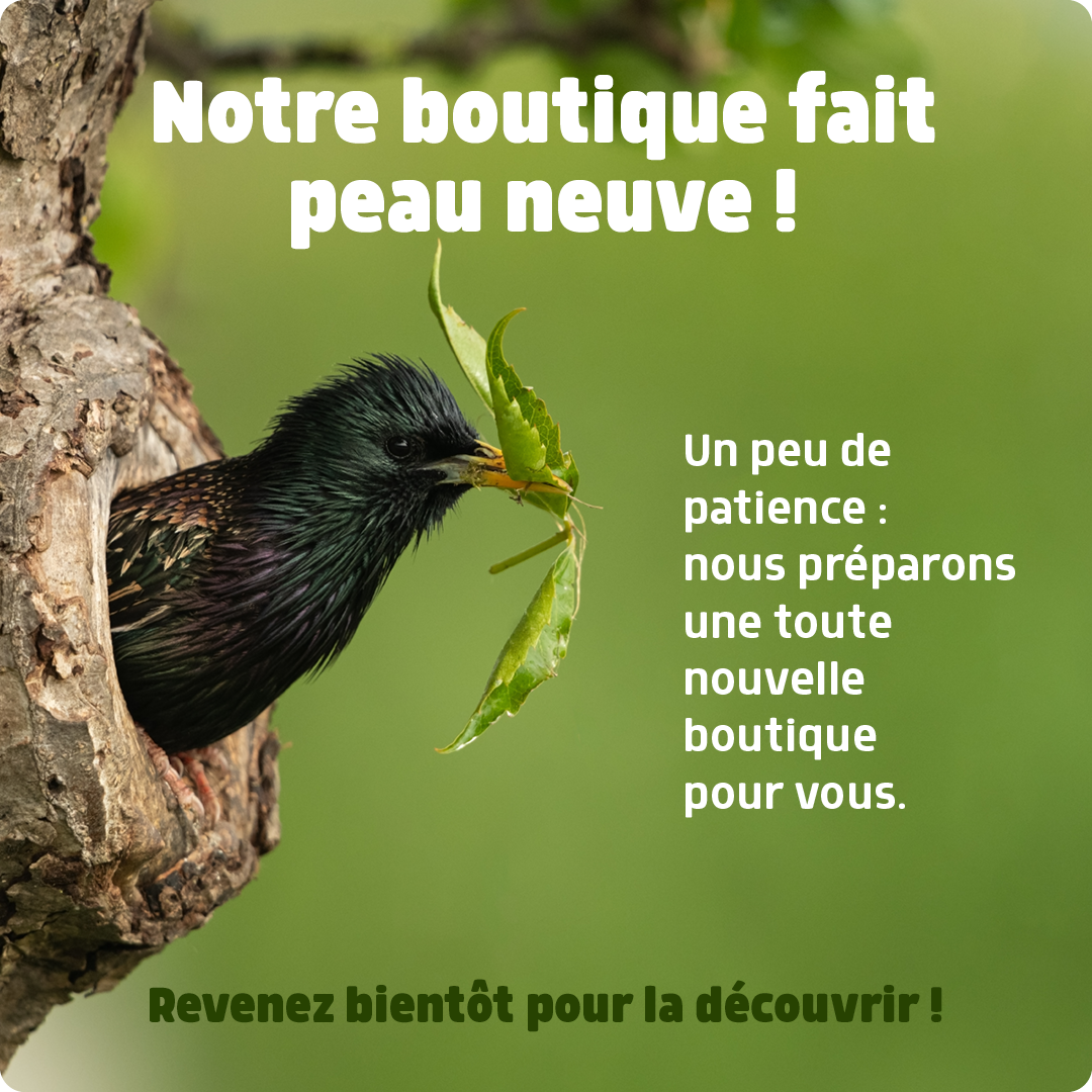 Réouverture de la boutique dans quelques heures