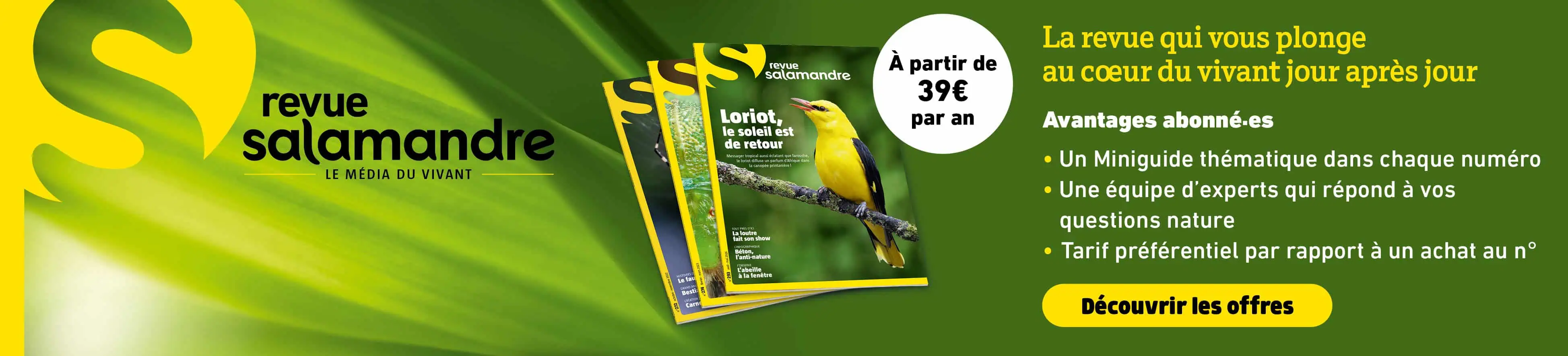 Publicité