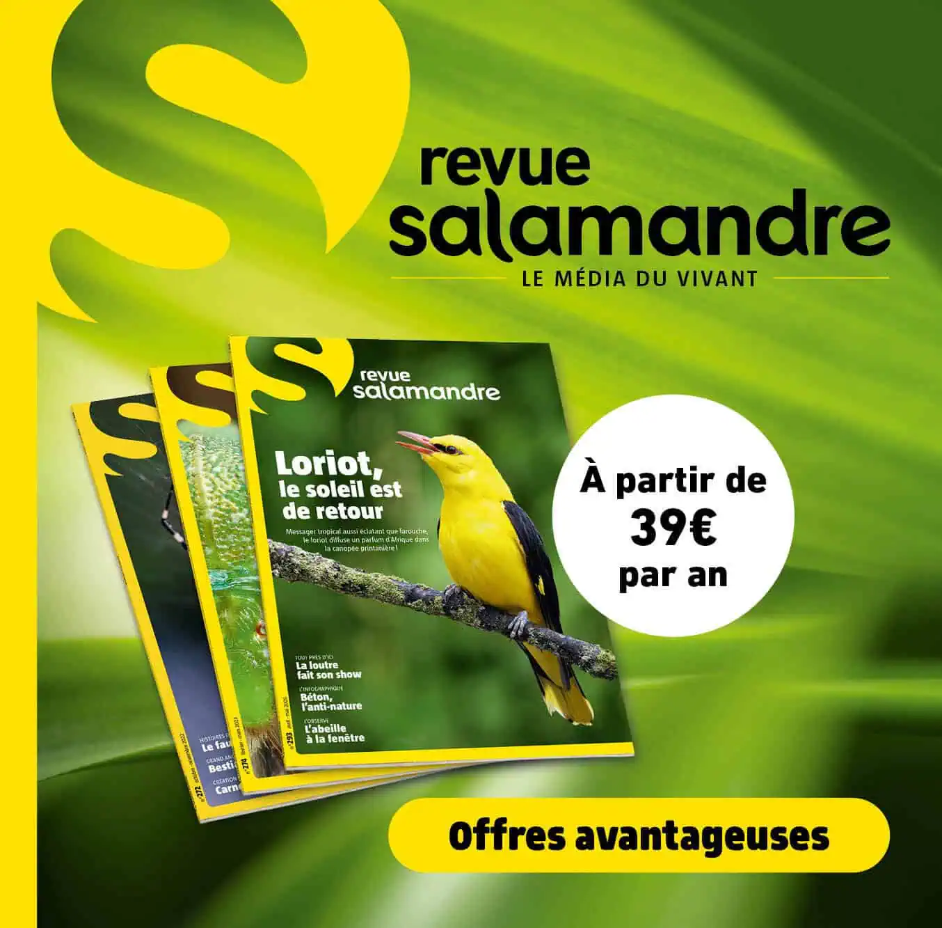 Publicité