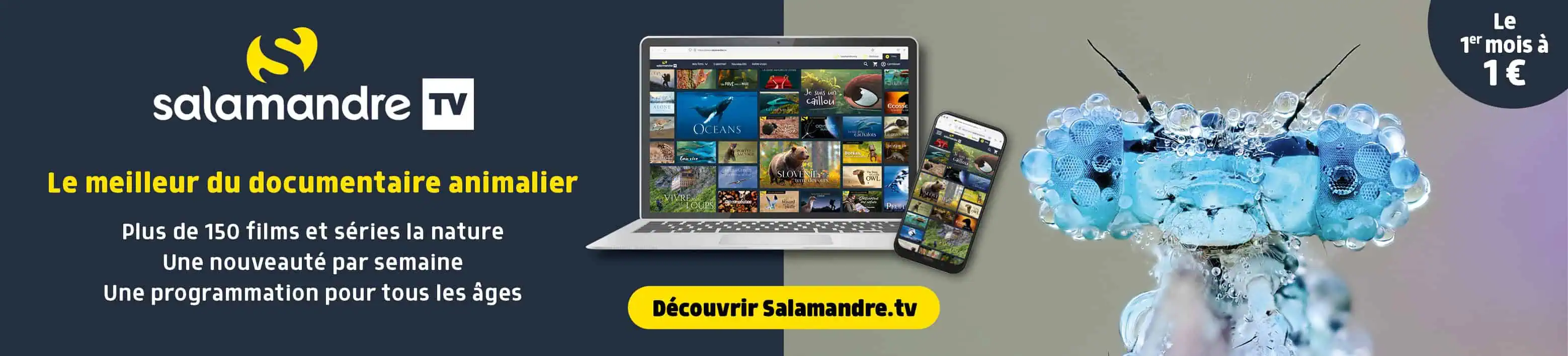 Publicité